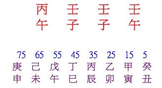 胡錦濤八字